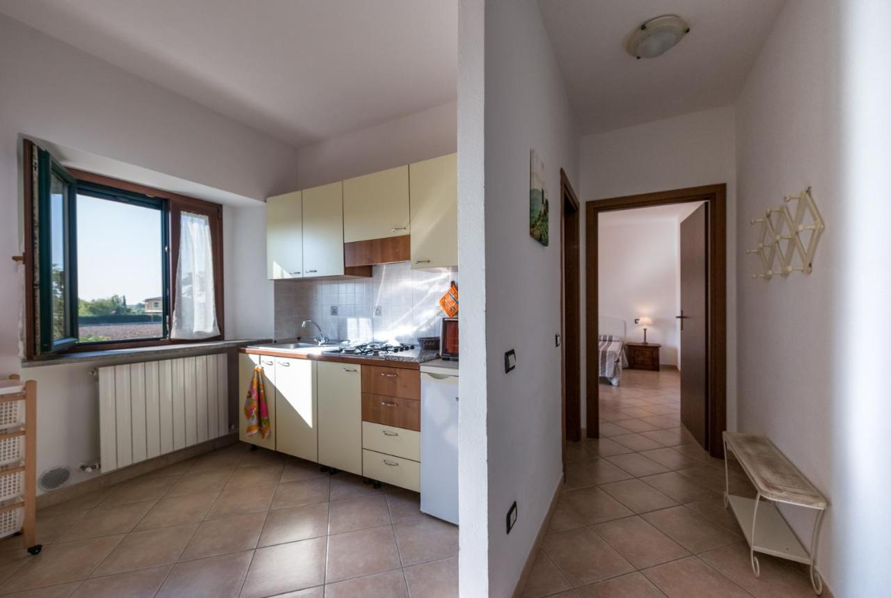 Agriturismo Le Vecchie Scuole Campiglia Marittima Dış mekan fotoğraf