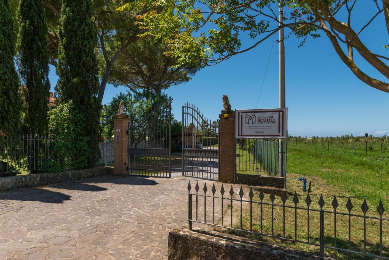 Agriturismo Le Vecchie Scuole Campiglia Marittima Dış mekan fotoğraf